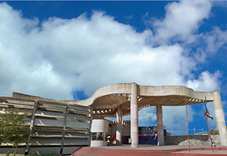 Policia, Seguridad ciudadana Guadalajara